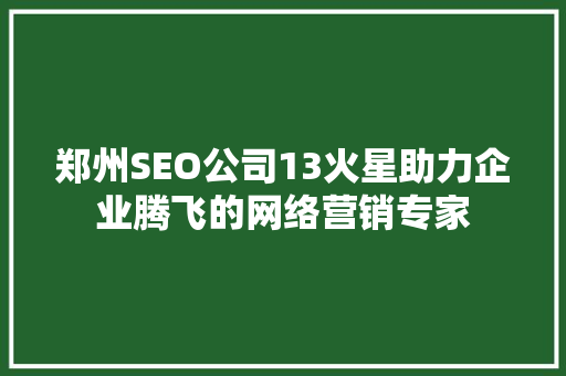 郑州SEO公司13火星助力企业腾飞的网络营销专家