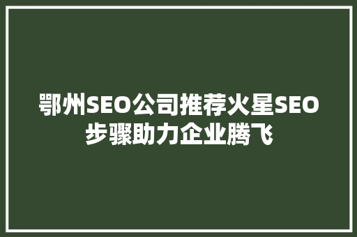 鄂州SEO公司推荐火星SEO步骤助力企业腾飞