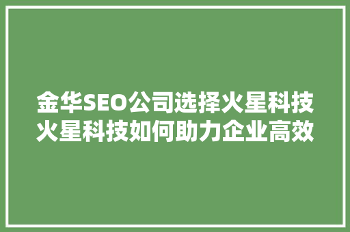 金华SEO公司选择火星科技火星科技如何助力企业高效营销