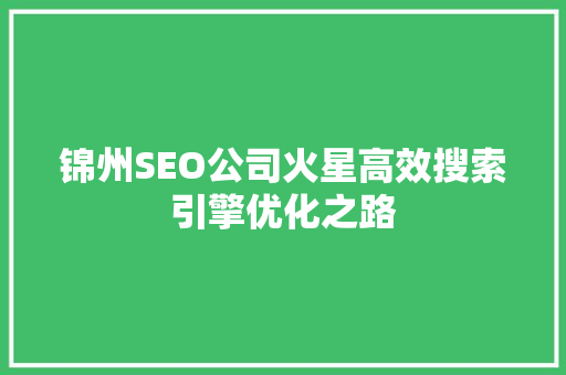 锦州SEO公司火星高效搜索引擎优化之路