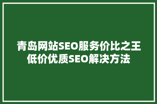 青岛网站SEO服务价比之王低价优质SEO解决方法