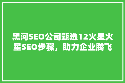 黑河SEO公司甄选12火星火星SEO步骤，助力企业腾飞  第1张