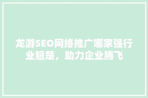龙游SEO网络推广哪家强行业翘楚，助力企业腾飞