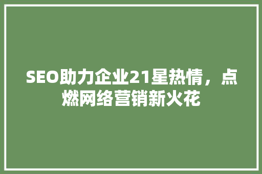SEO助力企业21星热情，点燃网络营销新火花