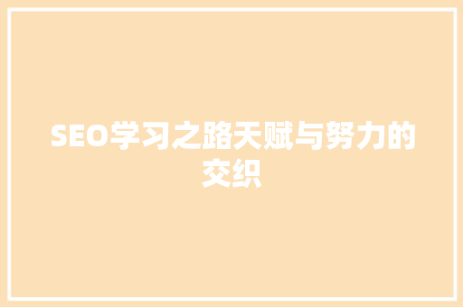 SEO学习之路天赋与努力的交织
