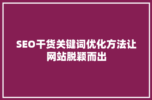 SEO干货关键词优化方法让网站脱颖而出