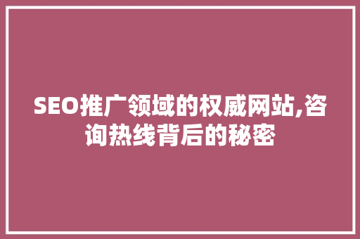 SEO推广领域的权威网站,咨询热线背后的秘密