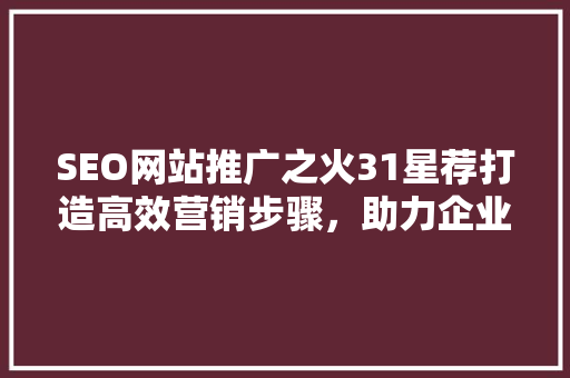 SEO网站推广之火31星荐打造高效营销步骤，助力企业腾飞