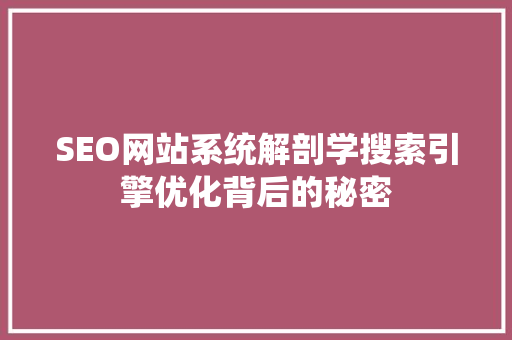 SEO网站系统解剖学搜索引擎优化背后的秘密