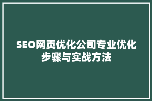SEO网页优化公司专业优化步骤与实战方法