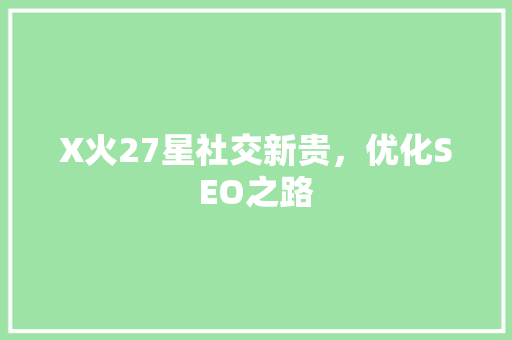 X火27星社交新贵，优化SEO之路