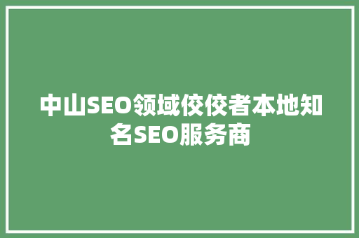 中山SEO领域佼佼者本地知名SEO服务商