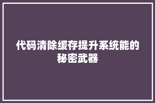 代码清除缓存提升系统能的秘密武器
