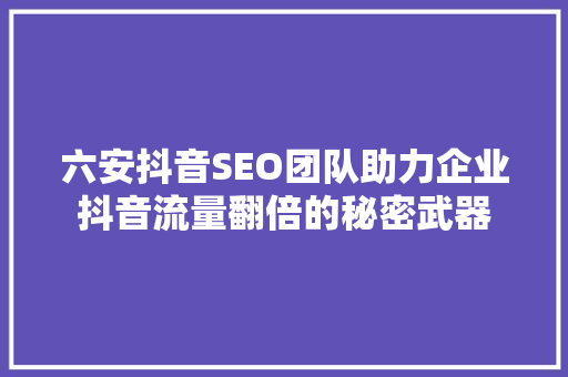 六安抖音SEO团队助力企业抖音流量翻倍的秘密武器