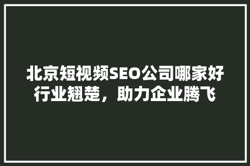 北京短视频SEO公司哪家好行业翘楚，助力企业腾飞
