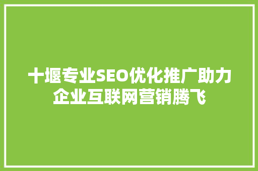 十堰专业SEO优化推广助力企业互联网营销腾飞