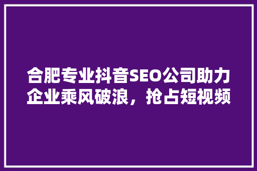 合肥专业抖音SEO公司助力企业乘风破浪，抢占短视频营销高地