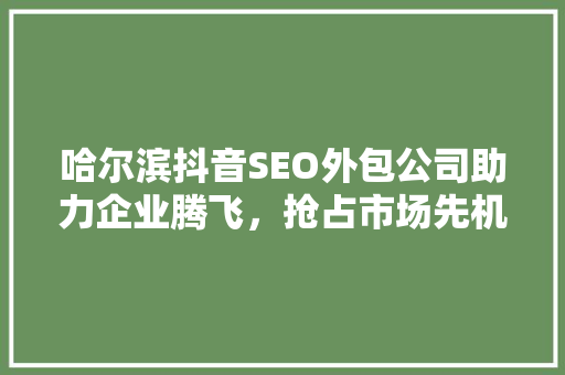 哈尔滨抖音SEO外包公司助力企业腾飞，抢占市场先机