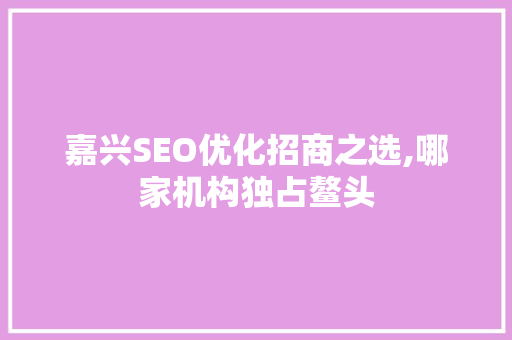 嘉兴SEO优化招商之选,哪家机构独占鳌头