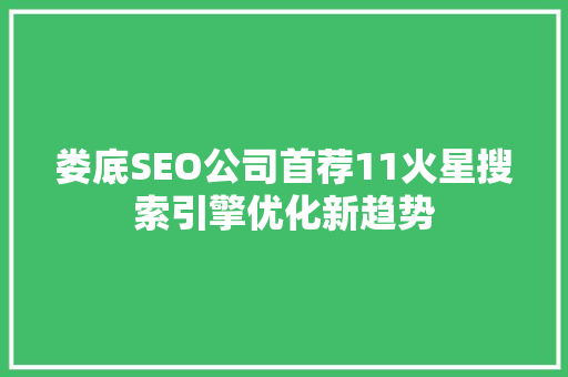 娄底SEO公司首荐11火星搜索引擎优化新趋势