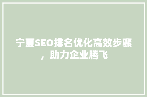 宁夏SEO排名优化高效步骤，助力企业腾飞