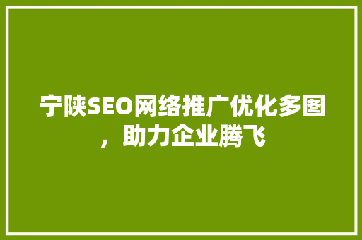 宁陕SEO网络推广优化多图，助力企业腾飞