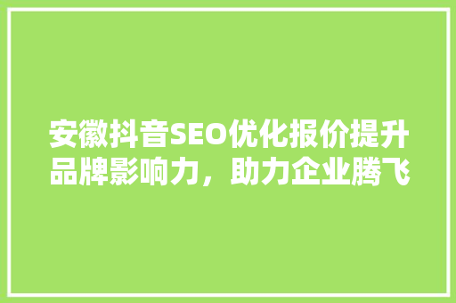 安徽抖音SEO优化报价提升品牌影响力，助力企业腾飞