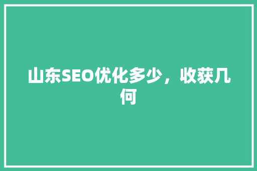 山东SEO优化多少，收获几何