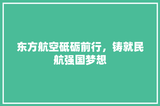 东方航空砥砺前行，铸就民航强国梦想
