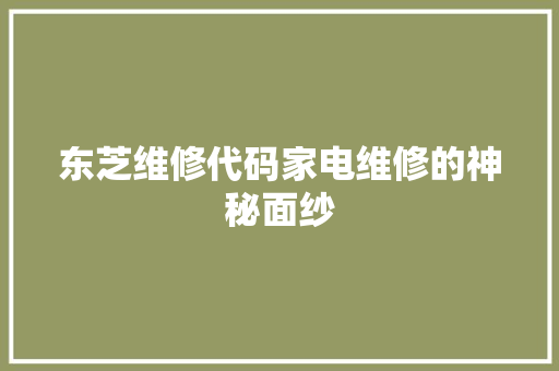 东芝维修代码家电维修的神秘面纱