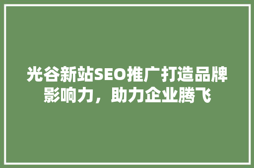 光谷新站SEO推广打造品牌影响力，助力企业腾飞