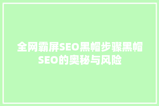 全网霸屏SEO黑帽步骤黑帽SEO的奥秘与风险