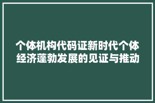 个体机构代码证新时代个体经济蓬勃发展的见证与推动力