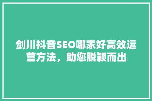 剑川抖音SEO哪家好高效运营方法，助您脱颖而出