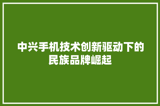 中兴手机技术创新驱动下的民族品牌崛起