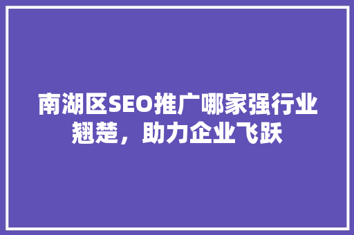 南湖区SEO推广哪家强行业翘楚，助力企业飞跃