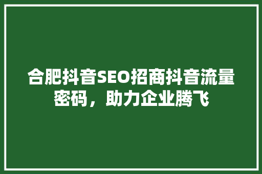 合肥抖音SEO招商抖音流量密码，助力企业腾飞
