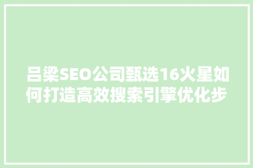 吕梁SEO公司甄选16火星如何打造高效搜索引擎优化步骤