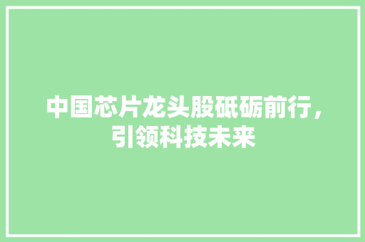 中国芯片龙头股砥砺前行，引领科技未来
