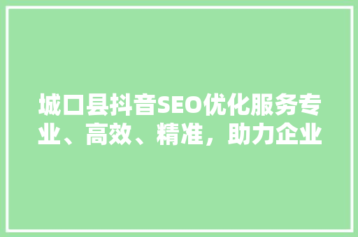 城口县抖音SEO优化服务专业、高效、精准，助力企业腾飞