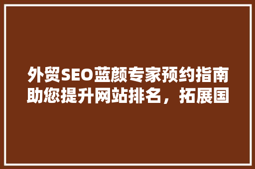 外贸SEO蓝颜专家预约指南助您提升网站排名，拓展国际市场