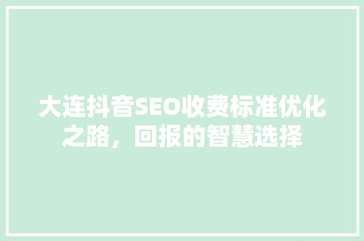 大连抖音SEO收费标准优化之路，回报的智慧选择