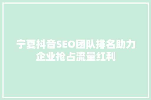 宁夏抖音SEO团队排名助力企业抢占流量红利