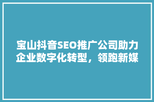 宝山抖音SEO推广公司助力企业数字化转型，领跑新媒体营销新风口