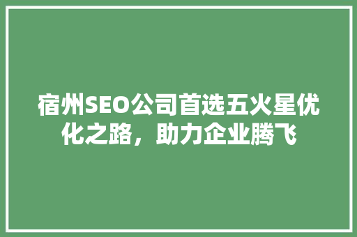 宿州SEO公司首选五火星优化之路，助力企业腾飞