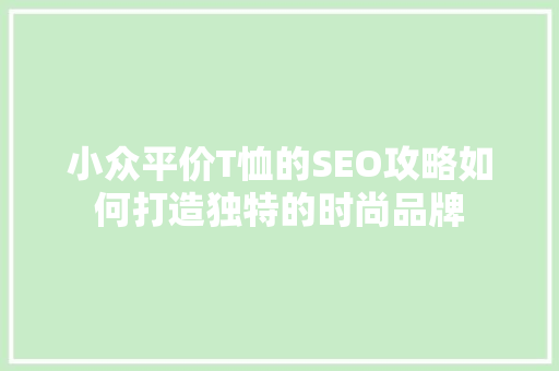 小众平价T恤的SEO攻略如何打造独特的时尚品牌
