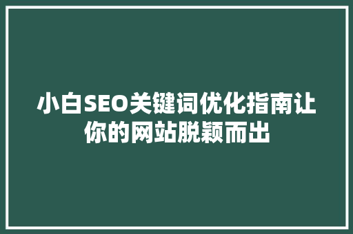 小白SEO关键词优化指南让你的网站脱颖而出
