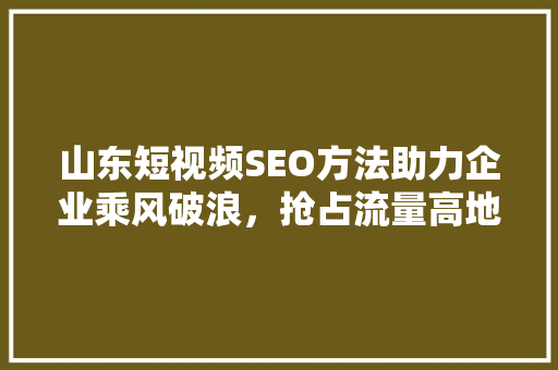 山东短视频SEO方法助力企业乘风破浪，抢占流量高地