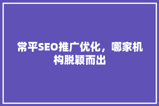 常平SEO推广优化，哪家机构脱颖而出