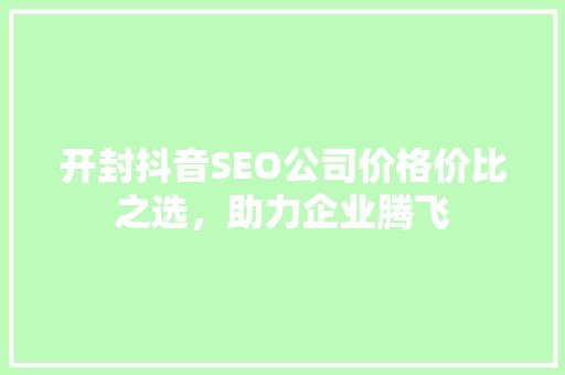 开封抖音SEO公司价格价比之选，助力企业腾飞